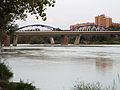 Ebro y puente de hierro 5.JPG