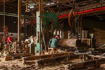 Sandakan Sabah Sawmill-20.jpg