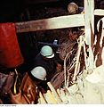Fotothek df n-10 0000569.jpg