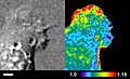 File:A-New-Genetically-Encoded-Single-Chain-Biosensor-for-Cdc42-Based-on-FRET-Useful-for-Live-Cell-pone.0096469.s009.ogv