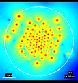 File:Electro-Acoustic-Behavior-of-the-Mitotic-Spindle-A-Semi-Classical-Coarse-Grained-Model-pone.0086501.s006.ogv