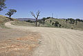 Road up Huon Hill.jpg