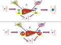 Aromatase Inhibitor.svg