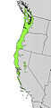 Arbutus menziesii range map.jpg