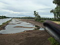 Berges Escaut lagunées méandres 2010 B.jpg