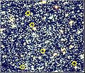 47 Tucanae - Blauwe achterblijvers.jpg