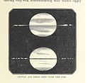 Image taken from page 169 of 'The Half Hour Library of Travel, Nature and Science for young readers' (11300040266).jpg