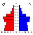 Bevolkingspiramide - Gemeente Almere (2007).png