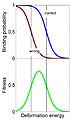 Conformational proofreading in homologous recombination.jpg
