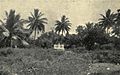 Captain Cook's Memorial, Point Venus, by Clement Lindley Wragge.jpg