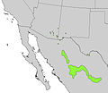 Cupressus arizonica range map.jpg