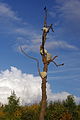 Rocks In Mummified Tree - Versailles.JPG