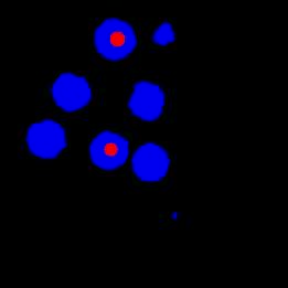 File:Automatic-Extraction-of-Nuclei-Centroids-of-Mouse-Embryonic-Cells-from-Fluorescence-Microscopy-pone.0035550.s007.ogv