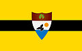 Bandera de Liberland.jpg