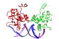 File:A-Novel-Approach-of-Dynamic-Cross-Correlation-Analysis-on-Molecular-Dynamics-Simulations-and-Its-pone.0112419.s016.ogv