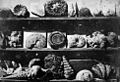Lous Jacques Mande Daguerre Shells and Fossils 1839.sized.jpg