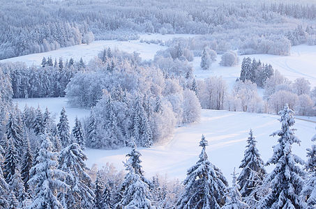 Winter in Haanja Upland
