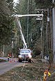 FEMA - 27333 - Photograph by Marvin Nauman taken on 12-18-2006 in Washington.jpg