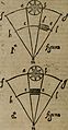 Considerazioni d'Alimberto Mavri sopra alcvni lvoghi del Discorso di Lodouico delle Colombe intorno alla stella apparita 1604 (1606) (14781325554).jpg