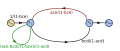 Signal flow graph with two interlocking loops-step13.svg