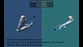 File:Coarse-Electrocorticographic-Decoding-of-Ipsilateral-Reach-in-Patients-with-Brain-Lesions-pone.0115236.s003.ogv