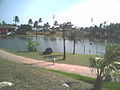 Lagoa menor do Parque Metropolitano de Pituaçu.jpg