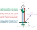 Diagram of X-ray magnetic circular dichroism.pdf