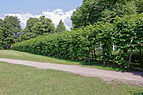 Wacholderpark Fuhlsbüttel 18.jpg