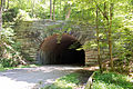 Lakeview Drive Tunnel (Back).jpg