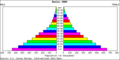 Benin population pyramid 2005.png