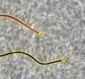 Electrical potential and field lines between two wires.png