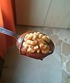 " 15 - ITALY - crema NOVI ( 45 % nuts) with pecan .jpg