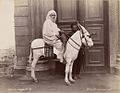 Arab Sheikh Mounted by Boston Public Library.jpg