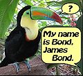 James Bond Ornithologist.jpg