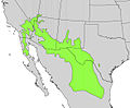 Chilopsis linearis range map.jpg
