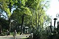 Acceso al Jardín Botánico del Instituto de Biología (UNAM)..jpg