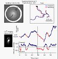 File:An-Image-Free-Opto-Mechanical-System-for-Creating-Virtual-Environments-and-Imaging-Neuronal-pone.0024666.s006.ogv