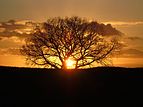 Winter sunset in Southwest of France.JPG