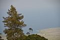 View from Aloha Guest House - panoramio.jpg