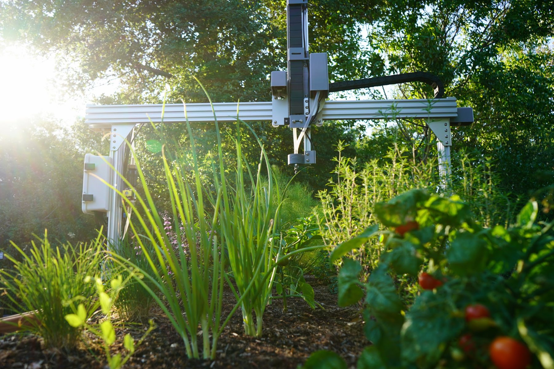 The CO2 Footprint of FarmBot vs the Grocery Store