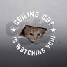 Ceiling Cat