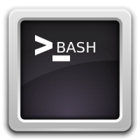 bash_scripts