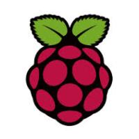 Raspberry_pi_Logo