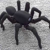Robugtix T8 - Spiderbot