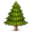 :evergreen_tree: