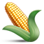 :corn: