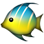 :tropical_fish: