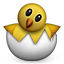 :hatching_chick: