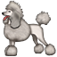 :poodle: