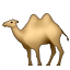 :camel: